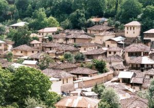 دعوت از آفریقا برای سرمایه‌گذاری در مناطق روستایی ایران