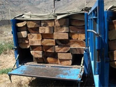 باند قاچاق چوب آلات جنگلی در آمل منهدم شد