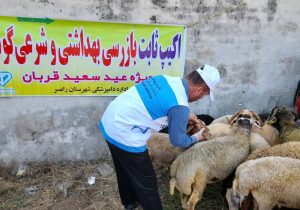 نظارت ۱۳۲ گروه ثابت و سیار بر مراکز عرضه دام