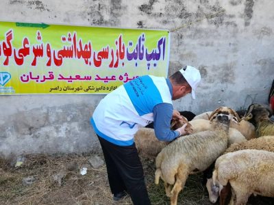 نظارت ۱۳۲ گروه ثابت و سیار بر مراکز عرضه دام