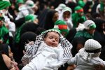 برگزاری آیین شیر خوارگان حسینی در دیار علویان مازندران