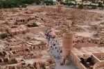 ۶۰۰ هکتار از نخلستان‌ها چطور خشک شدند؟