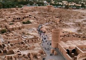 ۶۰۰ هکتار از نخلستانها چطور خشک شدند؟