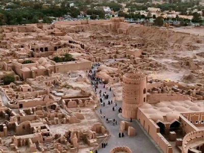 ۶۰۰ هکتار از نخلستان‌ها چطور خشک شدند؟