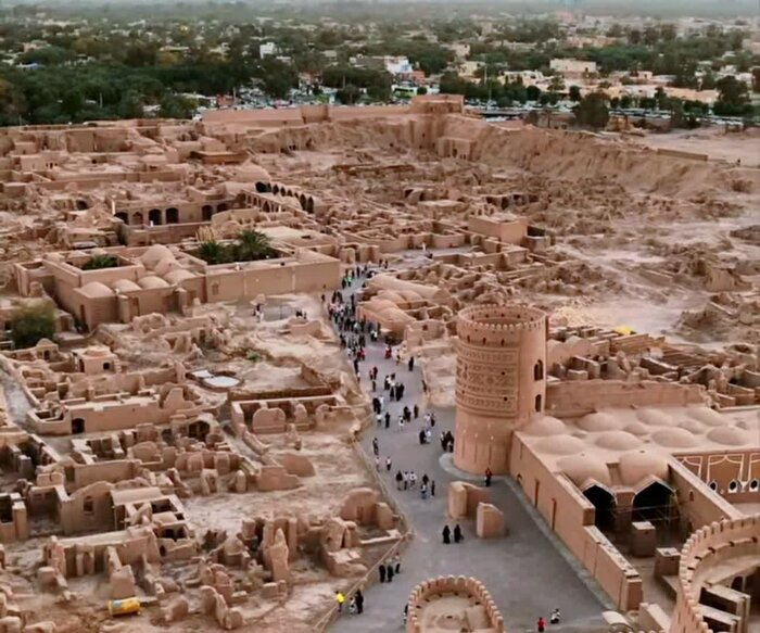 ۶۰۰ هکتار از نخلستان‌ها چطور خشک شدند؟