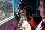 گیلان در قاب کهنسالی و سکون جمعیت