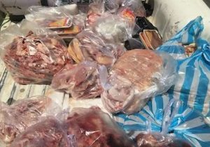 کشف ۲۰۰ کیلوگرم گوشت گراز در مرکز گیلان