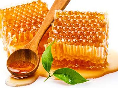 آغاز برداشت عسل بهاره از زنبورستان‌های مازندران