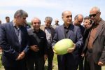 توسعه زیرساخت‌های صادراتی برای کاهش خسارات کشاورزان