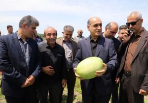توسعه زیرساخت‌های صادراتی برای کاهش خسارات کشاورزان