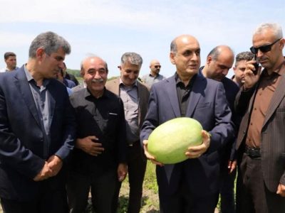 توسعه زیرساخت‌های صادراتی برای کاهش خسارات کشاورزان