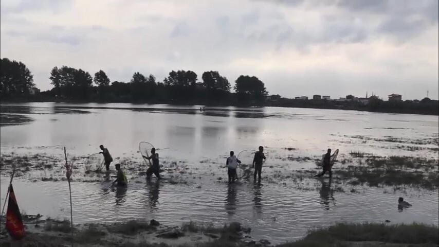 قرق‌شکنی؛ سنت زنده کشاورزان مازنی