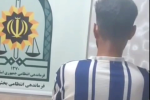 شناسایی عامل حیوان آزاری در تالش