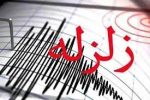 فعالیت گسل خزری منشأ زلزله های اخیر رامسر