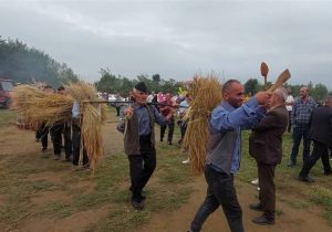 برگزاری جشنواره اقوام ویژه کشاورزان گیلانی