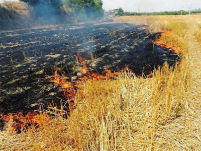 برخورد با متخلف آتش زدن کاه و کلش در شهرستان فومن