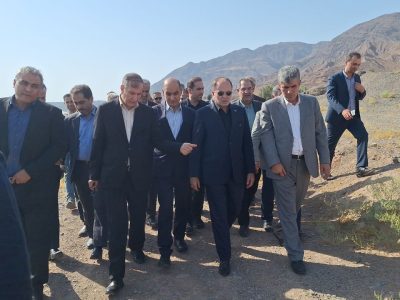 ثبت باغ مادری زیتون علی آباد رودبار، چهارمین کلکسیون بین المللی دنیا