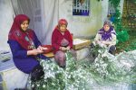 توسعه تجارت در حوزه ابریشم بین ایران و ازبکستان دنبال می‌شود