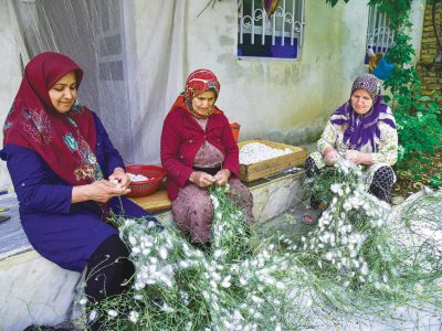 توسعه تجارت در حوزه ابریشم بین ایران و ازبکستان دنبال می‌شود