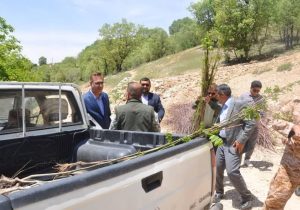 اراضی ملی به ارزش ۴۵ میلیارد ریال در رضوانشهر رفع تصرف شد