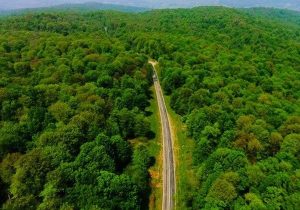 راستی‌آزمایی اطلاعات طرح جنگلداری نوین در حوزه‌های شمال مازندران با جدیت ادامه دارد