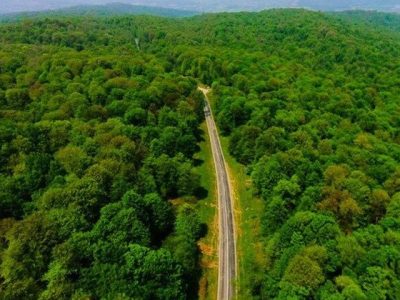 راستیآزمایی اطلاعات طرح جنگلداری نوین در حوزههای شمال مازندران با جدیت ادامه دارد