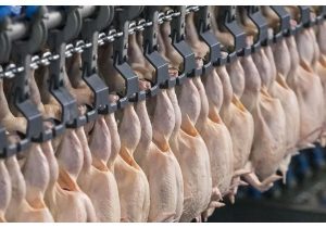 ارسال ۷۰۹ تن گوشت از مازندران به تهران در یک روز