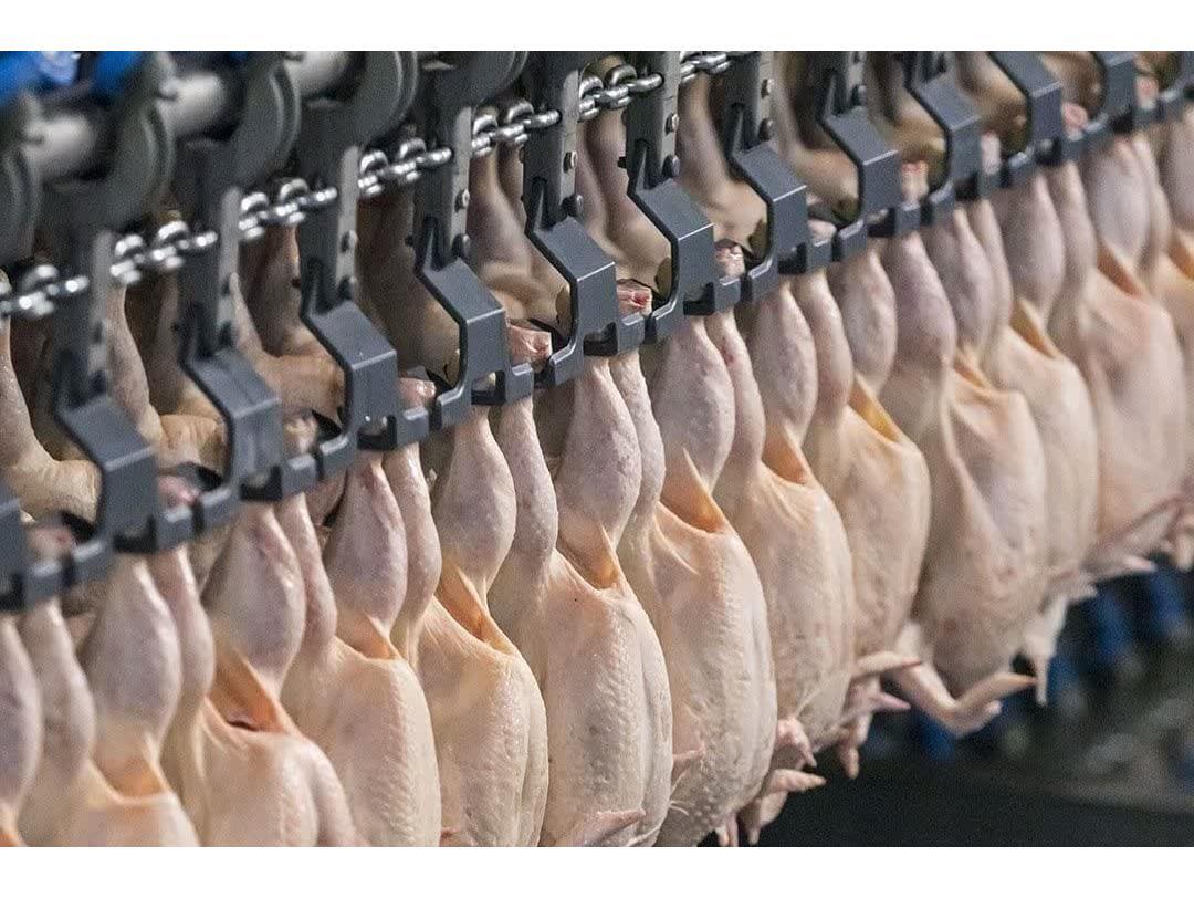 ارسال ۷۰۹ تن گوشت از مازندران به تهران در یک روز