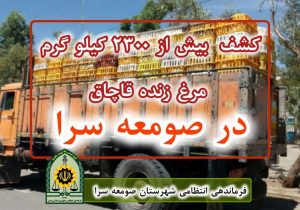 کشف بیش از ۲ هزار و ۳۰۰ کیلوگرم مرغ زنده بدون مجوز در صومعه سرا