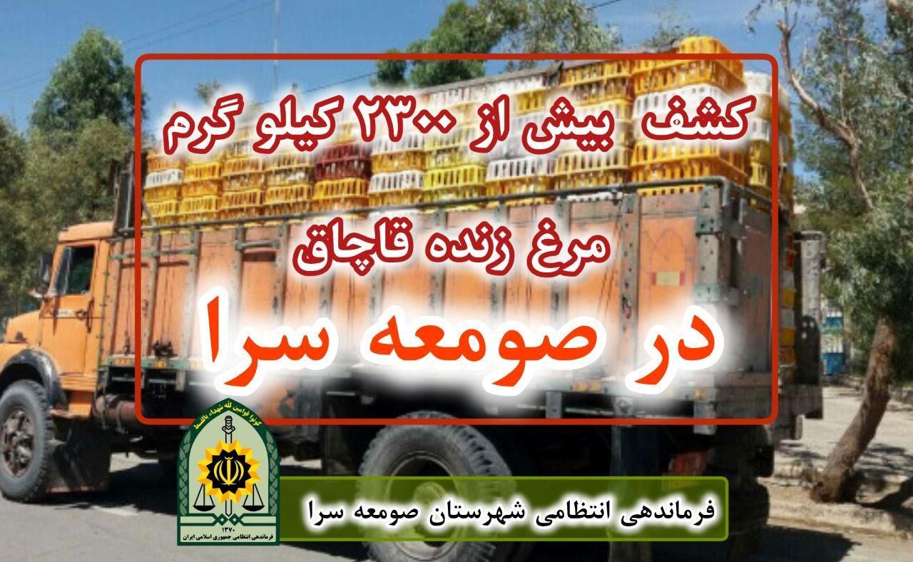 کشف بیش از ۲ هزار و ۳۰۰ کیلوگرم مرغ زنده بدون مجوز در صومعه سرا