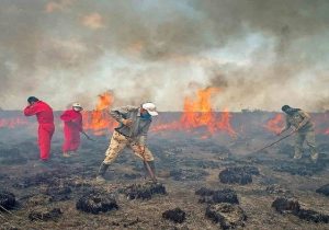 خاکستر شدن ۸ هکتار پوشش گیاهی میانکاله