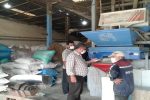 برنج مازندران در مسیر برند ملی / هزار میلیارد تومان تسهیلات برای شالیکوبی‌داران