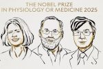 برندگان جایزه نوبل پزشکی ۲۰۲۵ اعلام شدند