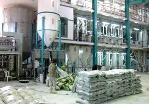 نوسازی ۴۰۷ کارخانه شالیکوبی در گیلان