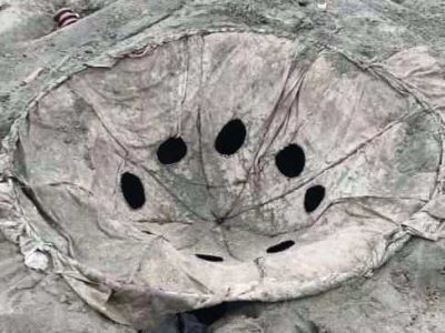 کشف تله‌های غیرمجاز زنده‌گیری پرندگان شکاری در پارک ملی بوجاق