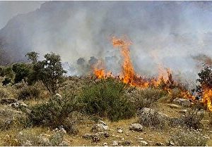 آتش سوزی در پای قله دماوند
