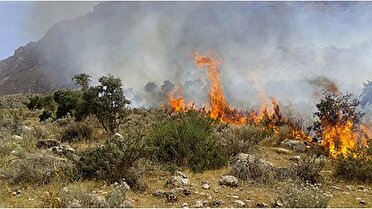 آتش سوزی در پای قله دماوند