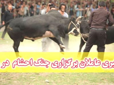 برخورد با عاملان برگزاری جنگ احشام در بخش سنگر