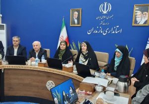 دولت به دنبال توسعه کسب و کارهای دانش بنیان در حوزه زنان