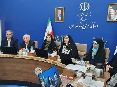 دولت به دنبال توسعه کسب و کار‌های دانش بنیان در حوزه زنان