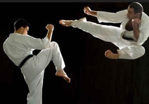 مازندران بر سکوی نخست کیوکوشین کشور ایستاد