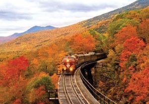 گردشگری ریلی در دولت چهاردهم رو به رشد است/ تلاش برای دستیابی به بازارهای بینالمللی