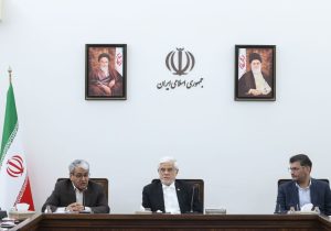 عارف: دولت حق ندارد خلاف منویات مردم کاری کند/ شناسایی ۴۰ نظام مسائل کشور