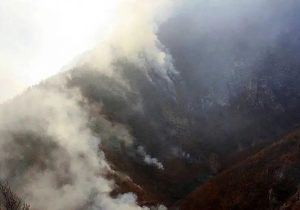 شیب ۸۰ درصدی جنگل الیت؛ سندی روشن بر بطلان شایعه ویلاسازی