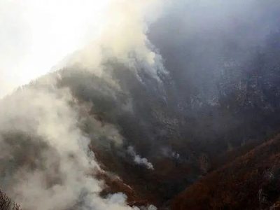 شیب ۸۰ درصدی جنگل الیت؛ سندی روشن بر بطلان شایعه ویلاسازی