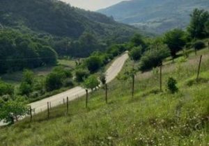 داستان بلاتکلیفی یک پل پس از ۱۸ سال