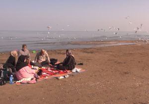 کاکایی ها به غرب مازندران کوچ کردند