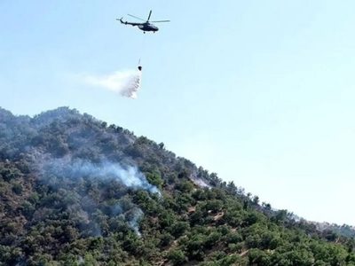 درخواست اعزام بالگرد برای مهار آتش‌سوزی جنگل‌های مرزن آباد