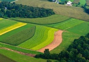 خلع ید بیش از ۲ هزار هکتار از اراضی ملی مازندران از ید متصرفین