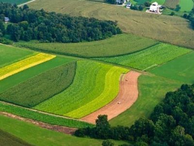 خلع ید بیش از ۲ هزار هکتار از اراضی ملی مازندران از ید متصرفین